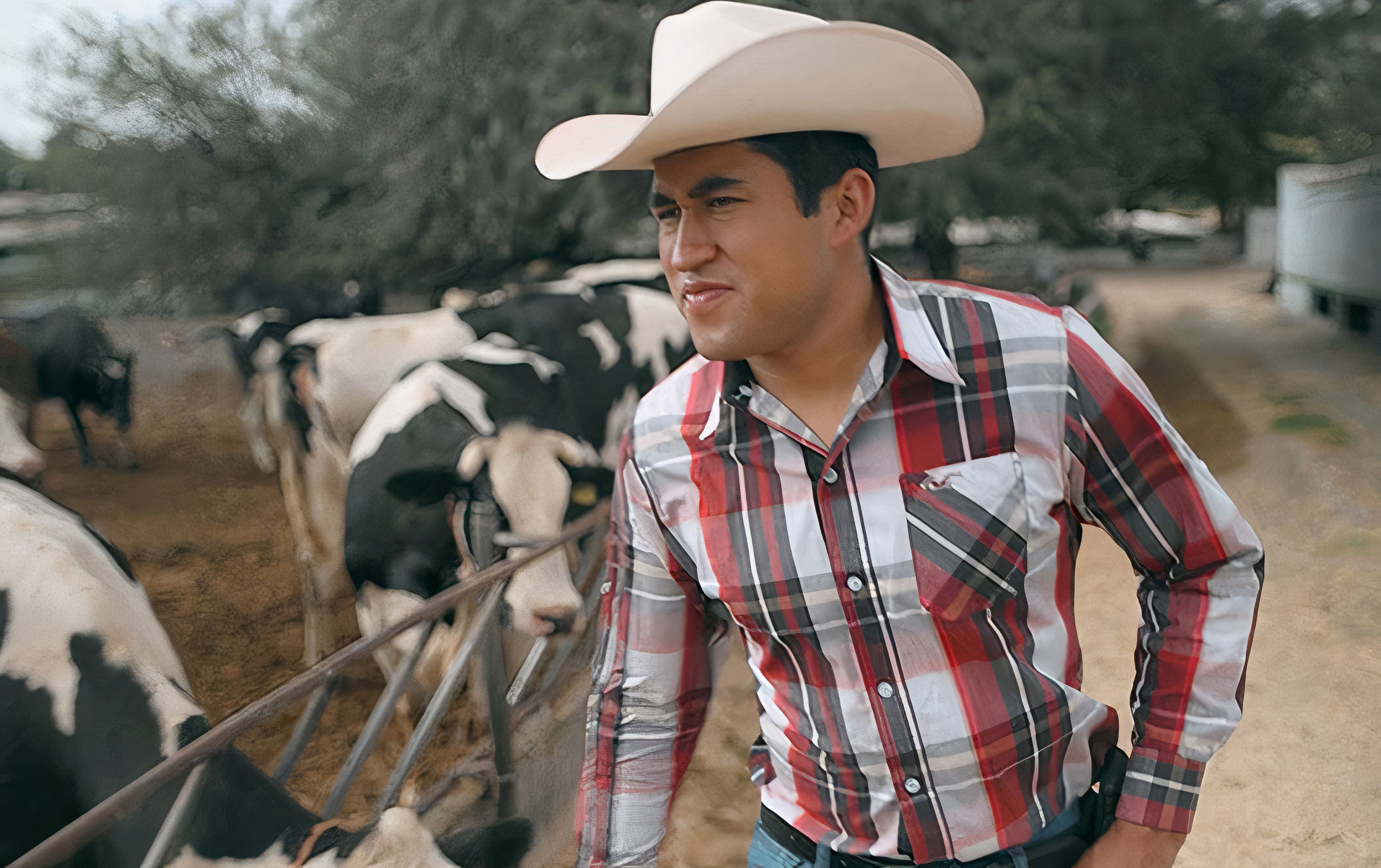 An image of a man standing with cows